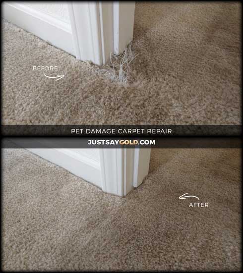 assets/images/causes/slider/site-dog-or-cat-damage-carpet-repair-fix-natomas-sacramento-ca-signac-court