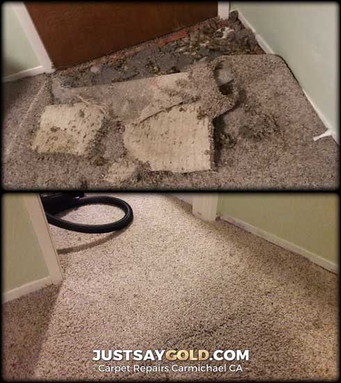 assets/images/causes/slider/site-pet-damaged-carpet-repair-carmichael-ca-lincoln-hills-way
